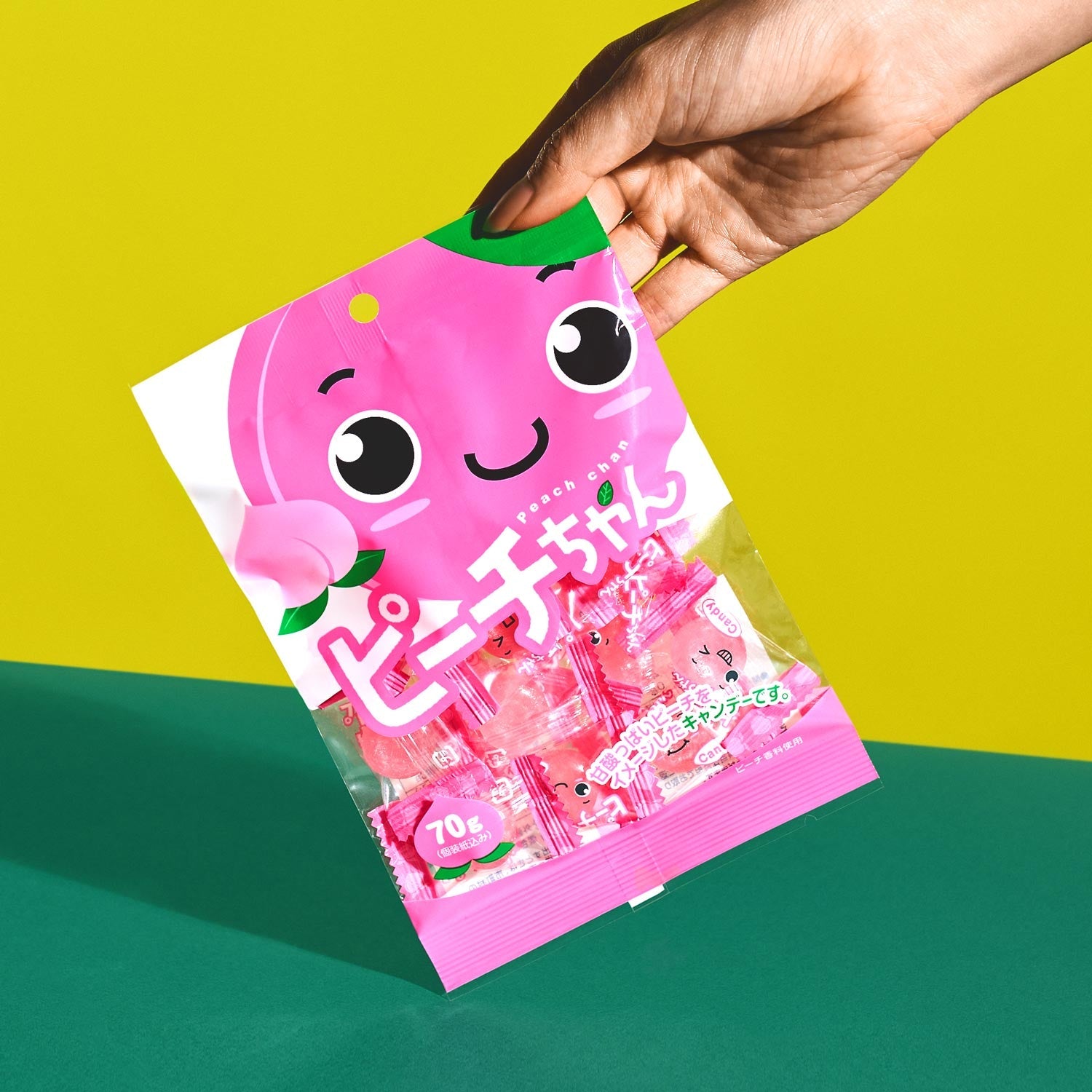 引っ越し予定　candychan専用 SMC10029P-