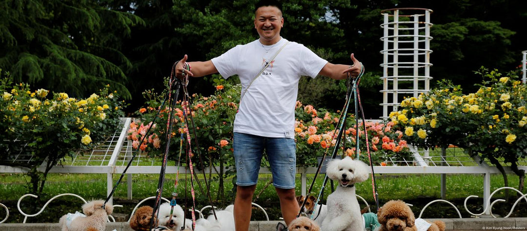 Paws and Products: Exploring the Pet Goods Boom in Japan