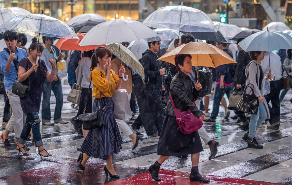 Where to Go in Japan in June 2025: Top Destinations for Rainy Season Charm