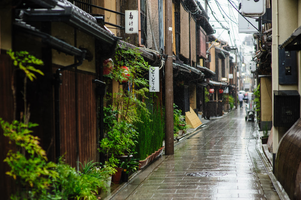 Tsuyu Season in Japan: Embracing the Beauty of Japan’s Rainy Days