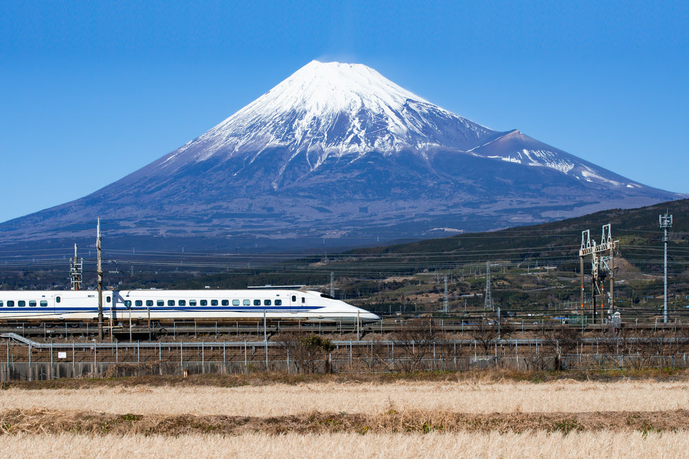 Inside Japan’s Station Snacks: What to Eat on a Winter Train Journey