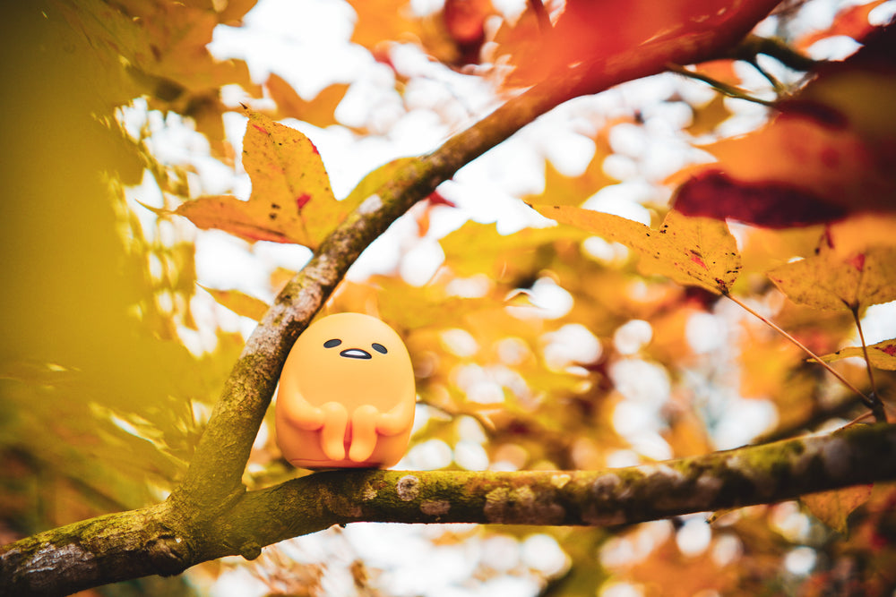 Cracking Open the Charm of Gudetama: A Delightfully Lazy Character