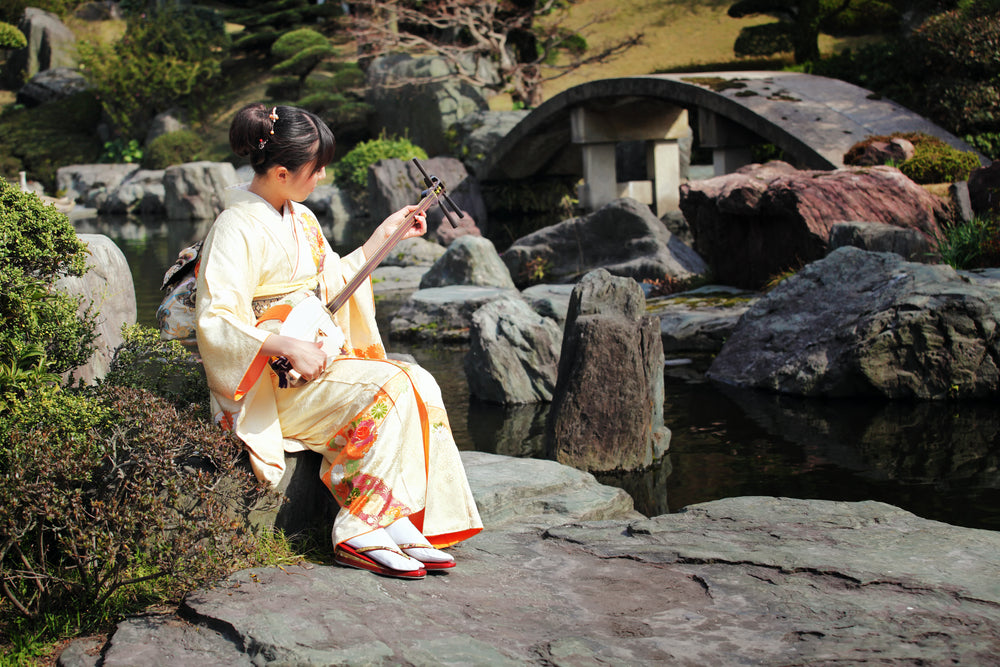 The Shamisen: Echoes of Japan's Musical Heritage