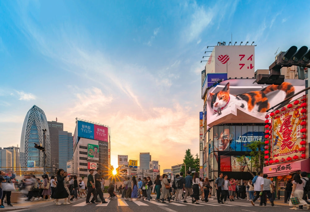 Secrets of Shinjuku: Insider Tips for an Unforgettable Tokyo Experience