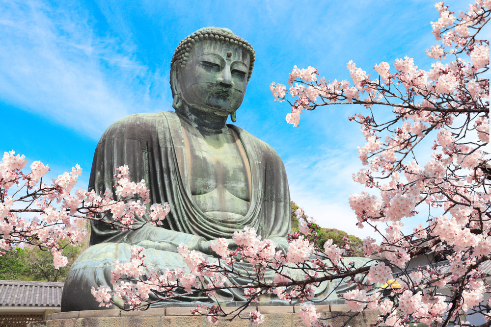 Bokksu Travel Series: What to do in Kamakura?