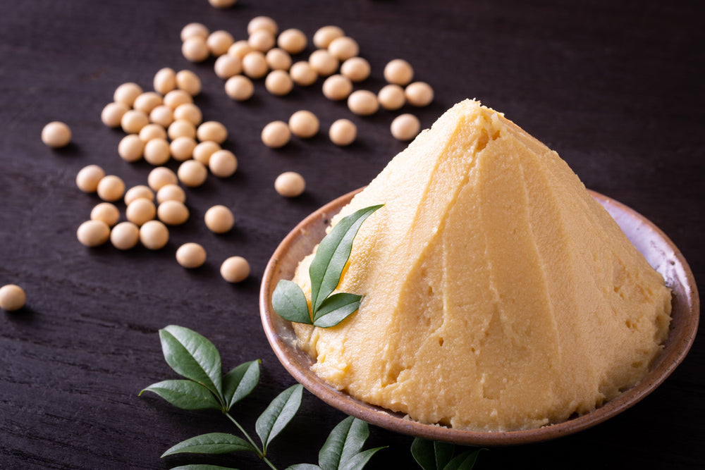 What Is White Miso?