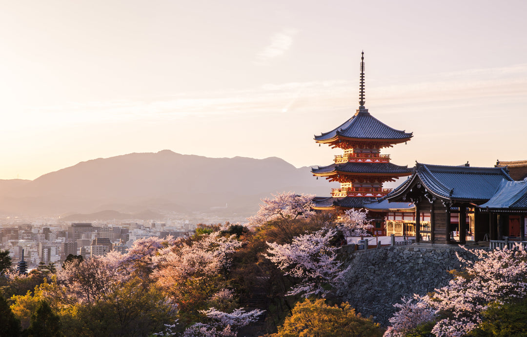 10 Exciting Things to do in Kyoto