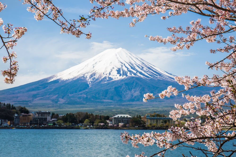 Where is Mount Fuji & Special Attractions Around It