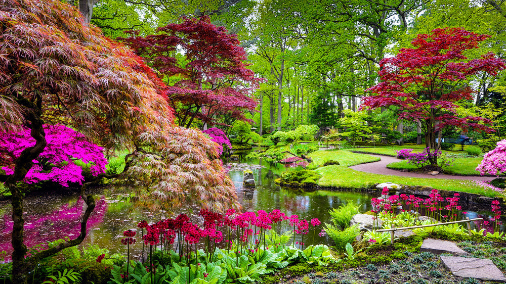 Famous Japanese Gardens In The United States