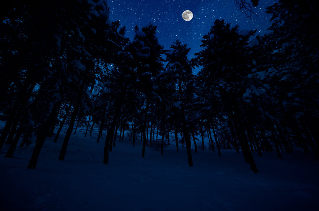 The Legend of Yuki-onna: Japan’s Snow Woman Spirit