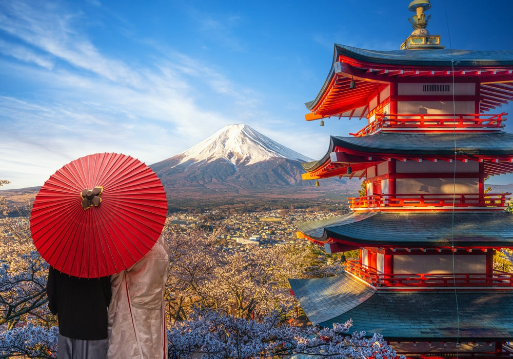 Japan’s Must-See Destinations: Top Places to Visit for Every Traveler