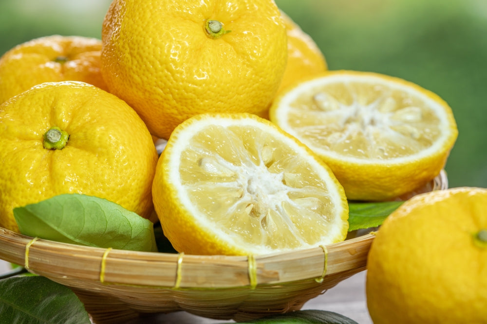 Yuzu: Japan’s Beloved Citrus Treasure