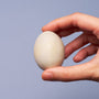 Anno Imo Purple Yam no Tamago Cake (1 Box, 12 Pieces) thumbnail 4