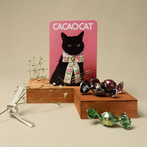 CACAOCAT Chocolate Assortment Tin (14 pieces, 14 Flavors)