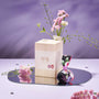 Yokudama Japanese Bath Bomb Gift Box thumbnail 1