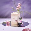 Yokudama Japanese Bath Bomb Gift Box