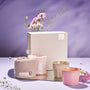 The Tea Cup and Towel Set thumbnail 2