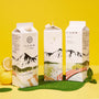 Nikko Coffee Liquid Iced Coffee Gift Box (3 Packs) thumbnail 3