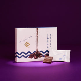 Oku-Noto Sea Salt Chocolate (8 Pieces)