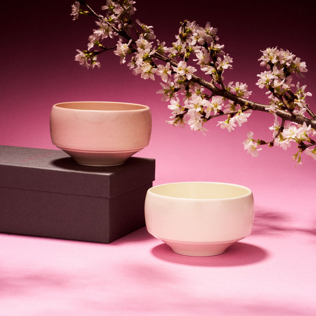 Hasami Ware Sakura Haku Bowl Pair Set