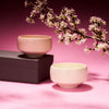 Hasami Ware Sakura Haku Bowl Pair Set