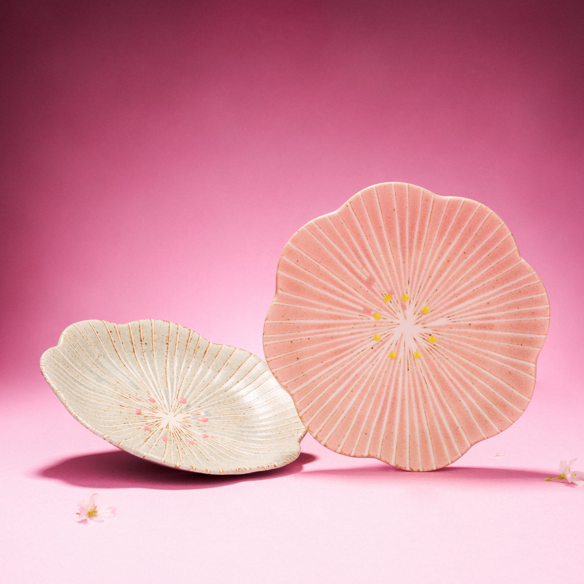 Japanese Kitchenware | Bokksu Boutique