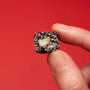 Goma Fukurou Black Sesame Bites (1 Pack) thumbnail 3