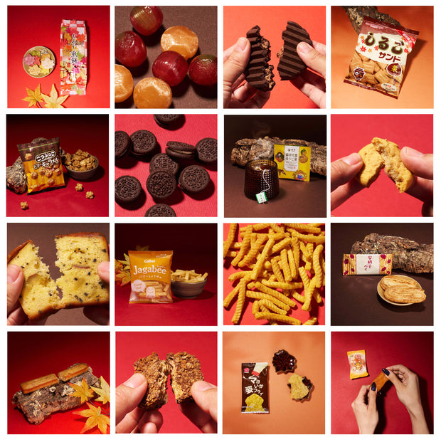 September'25 Bokksu: Along Moonlit Tracks