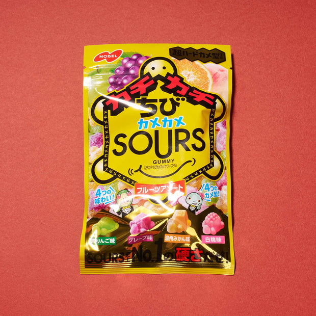 Hard Mini Turtle Sours Gummy: Fruit Mix (1 Bag)