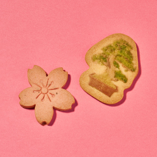 Japan Tree Cookie (1 Box, 16 pieces)