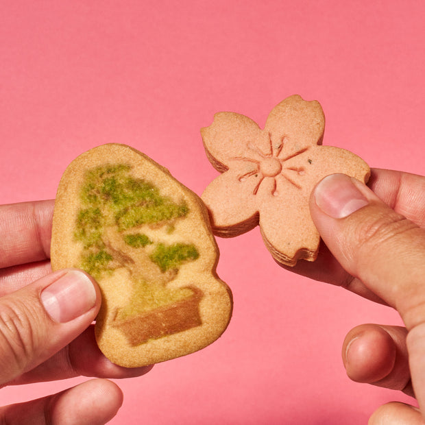 Japan Tree Cookie (1 Box, 16 pieces)