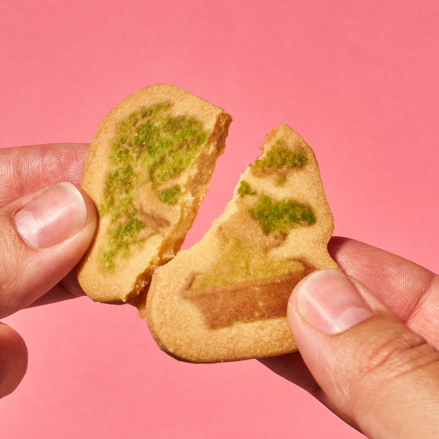 Japan Bonsai Tree Cookie (1 Piece)