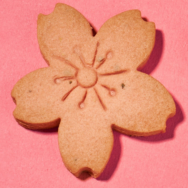 Japan Sakura Tree Cookie (1 piece)