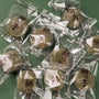 Mugwort Daifuku Mochi (1 Bag, ~9 Pieces) thumbnail 3