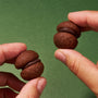 SACUCCI HOROCCI: Chocolate (1 Piece) thumbnail 6
