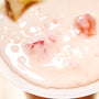 Premium Japanese Fruit Sorbet (9 Pieces, 5 Flavors) thumbnail 2