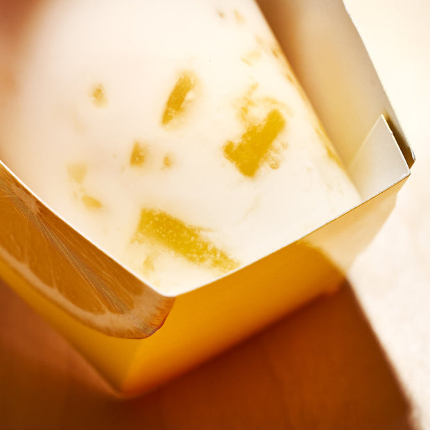 Premium Japanese Fruit Sorbet (9 Pieces, 5 Flavors)