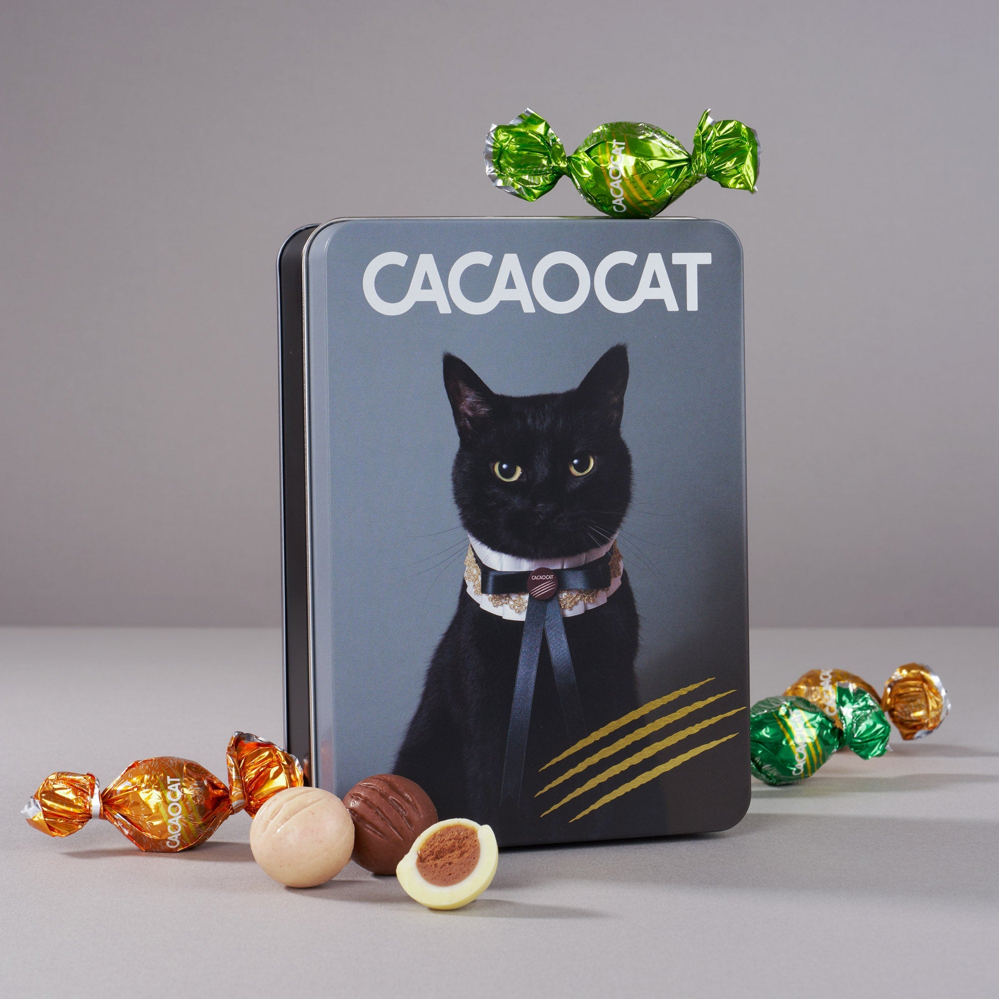 【Cat Toro】【新品】バニラキャット　ココアキャット DADACA Online - チョコレートとスイーツの通販 ｜DADACA Online