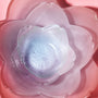 Sakura Blossom Bowl Set (4 Pieces) thumbnail 2