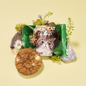 CACAOCAT Bake mini Cookie: Matcha Chocolate (1 Piece)