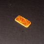 Tokyo Caramel Nuts Cookie (10 pieces) thumbnail 2