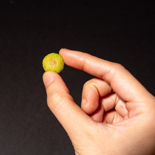 Grilled Edamame: Truffle Salt (10 pieces)