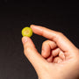 Grilled Edamame: Truffle Salt (10 pieces) thumbnail 3