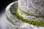 Kagoshima Matcha Powder (1 Tin) thumbnail 4